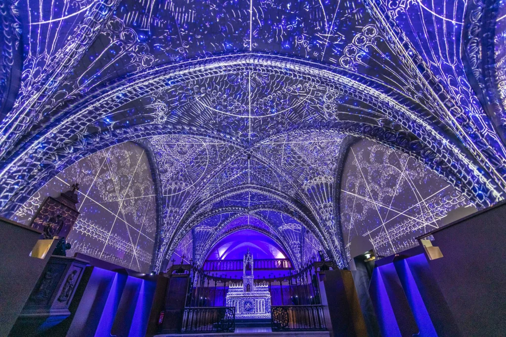 Les spectacles immersifs de l'Hôtel des Lumières