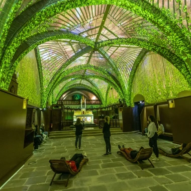 Les spectacles immersifs de l'Hôtel des Lumières
