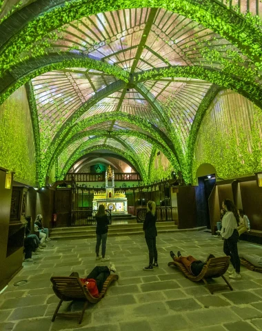 Les spectacles immersifs de l'Hôtel des Lumières
