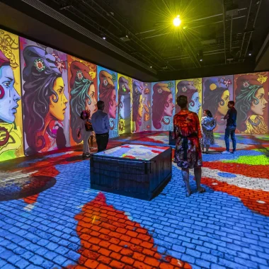 Les spectacles immersifs de l'Hôtel des Lumières