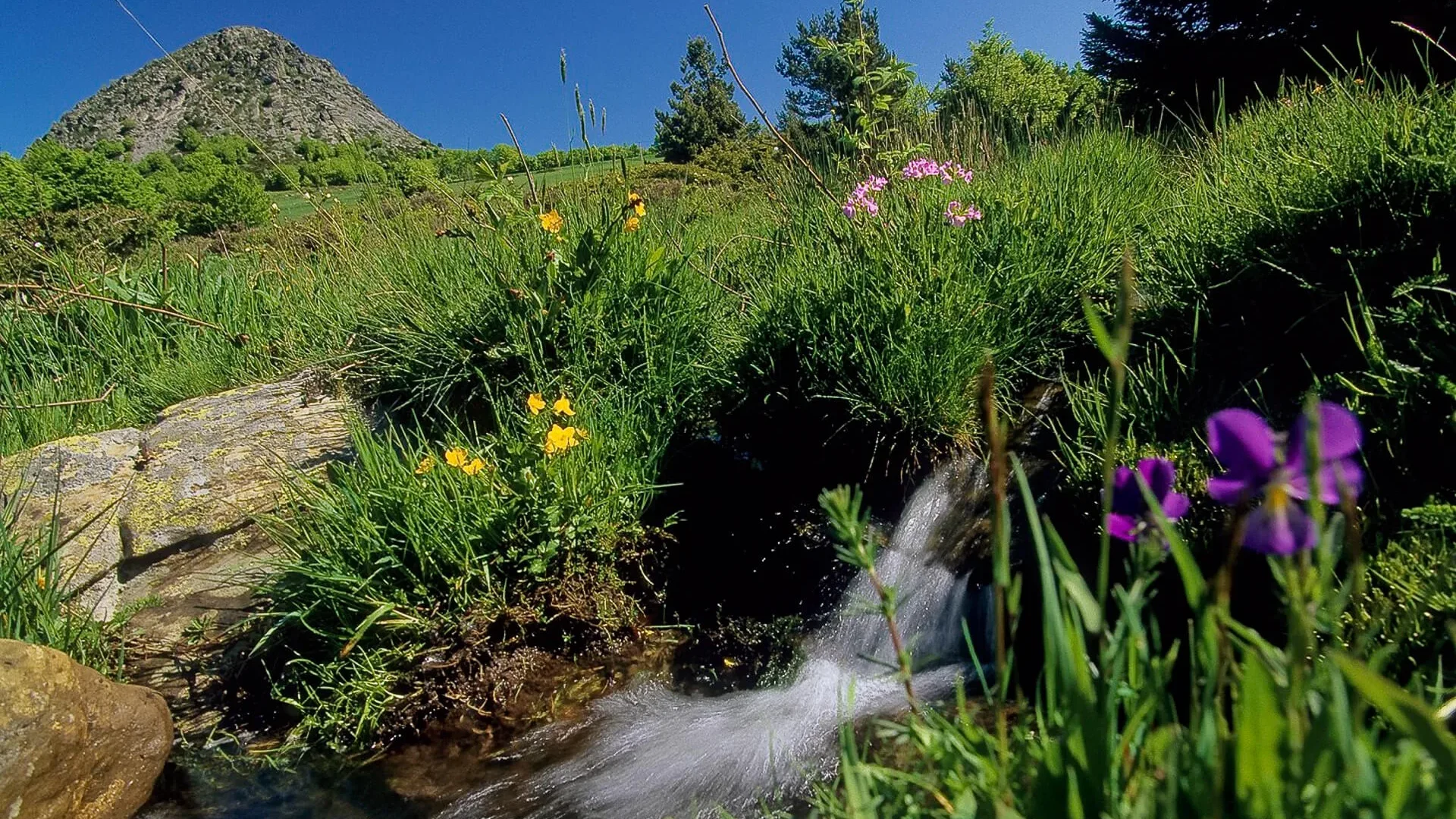 gr3-mont-gerbier-gorges-de-la-loire-2