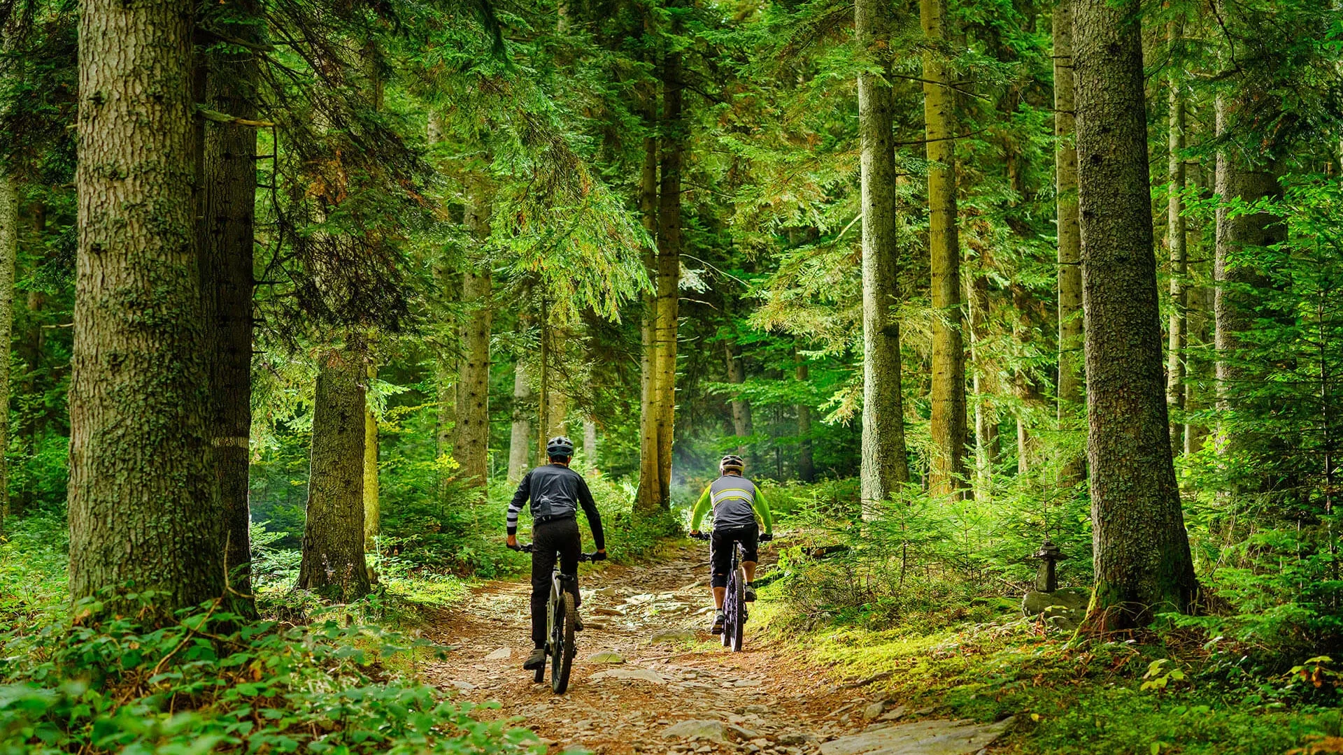 VTT dans les bois au Puy en Velay