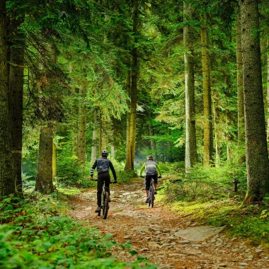 VTT dans les bois au Puy en Velay