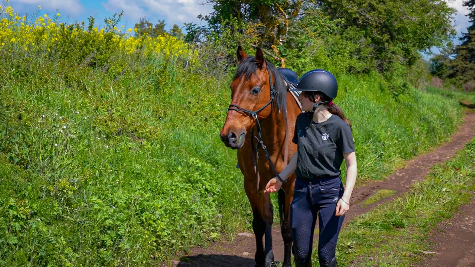 Une balade à cheval sur le territoire du Velay
