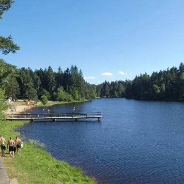 Au plan d'eau de la Tour à La Chaise-Dieu
