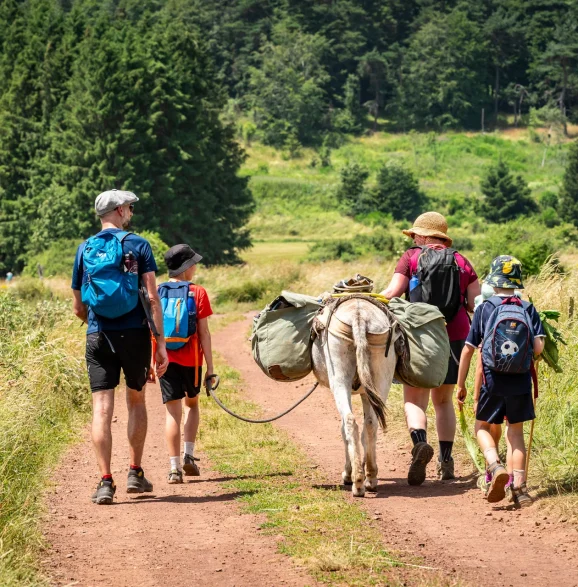 Sur le GR70 chemin de Stevenson