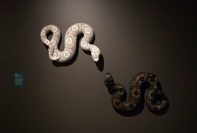 L'exposition Serpents