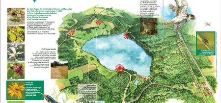 Sentier de la Réserve Naturelle Régionale Lac de Malaguet