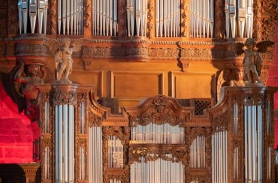 L’orgue, magnificence des buffets:  Journée d’étude et de découverte