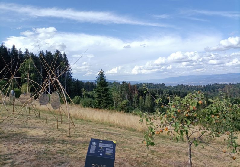 EQUI-Arboretum de Charvols-vue sur les monts Livradois