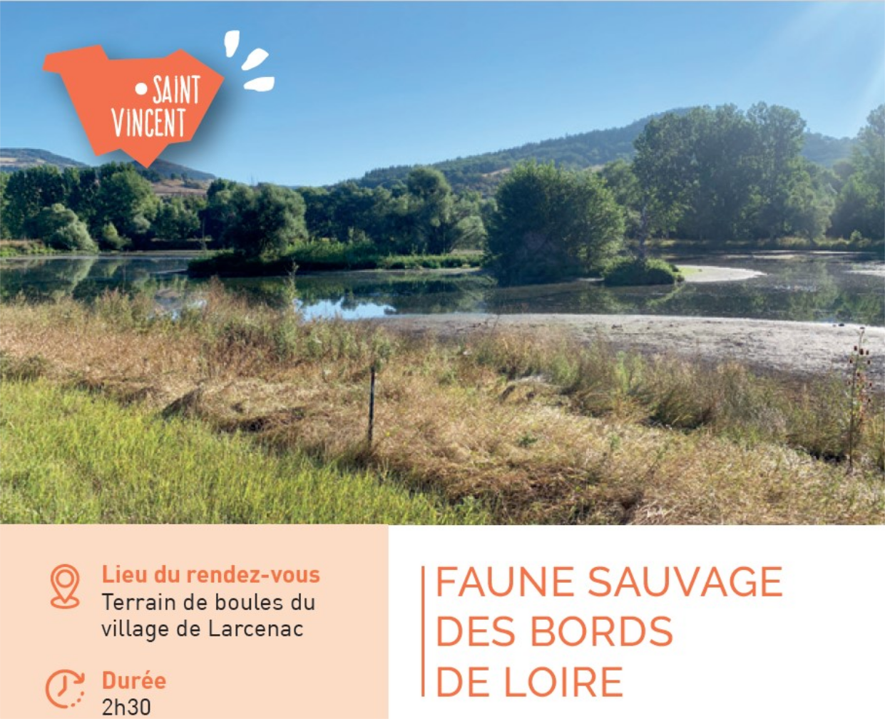 Sortie nature : Faune sauvage des bords de Loire