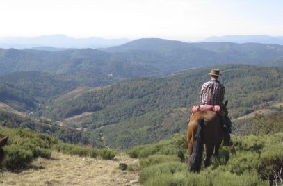 Balade et longues randonnées à cheval  – Domaine de Viaye