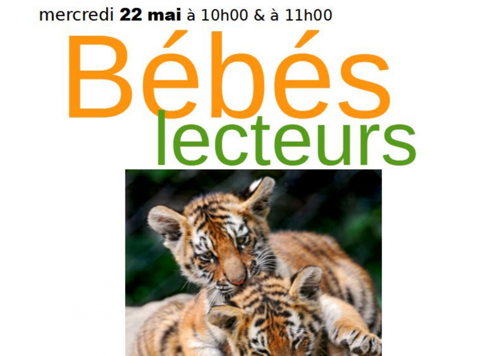 Bibliothèque du Puy : « Bébés lecteurs »