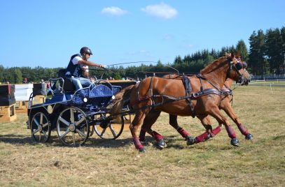 Concours National d’Attelage